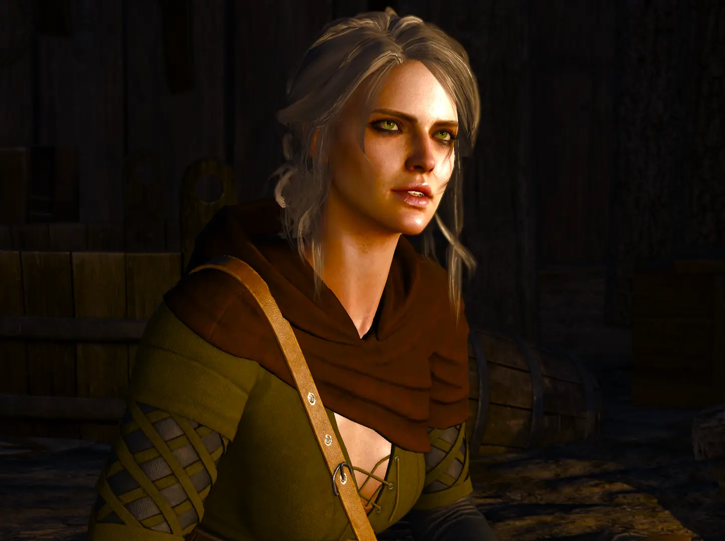 Ciri at The Witcher 3 Nexus - Mods and community