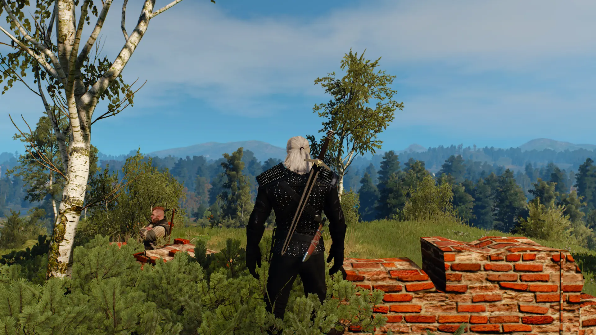 The witcher 3 witcher steel sword фото 85