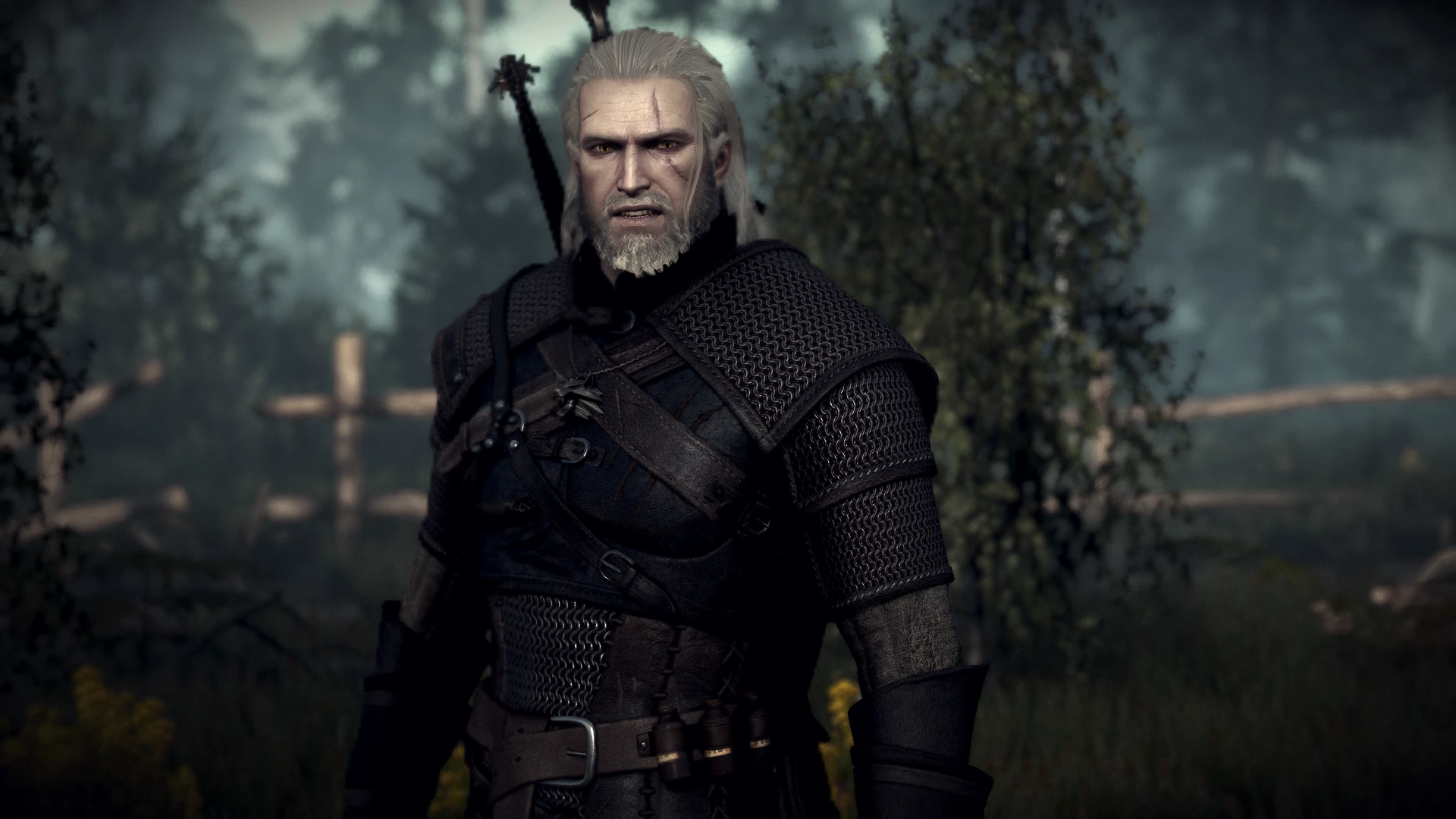 angry handsome geralt at The Witcher 3 Nexus - Mods and community