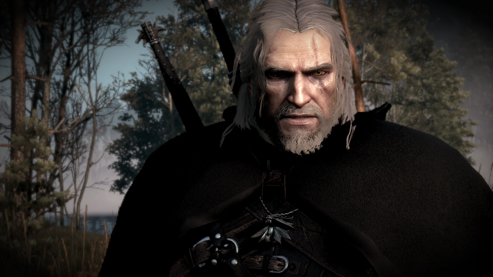 Butcher of Blaviken at The Witcher 3 Nexus - Mods and community