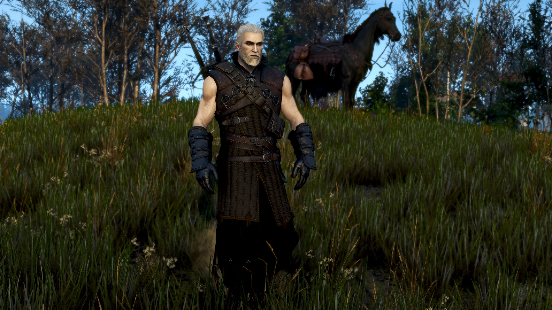 bear armor at The Witcher 3 Nexus - Mods and community