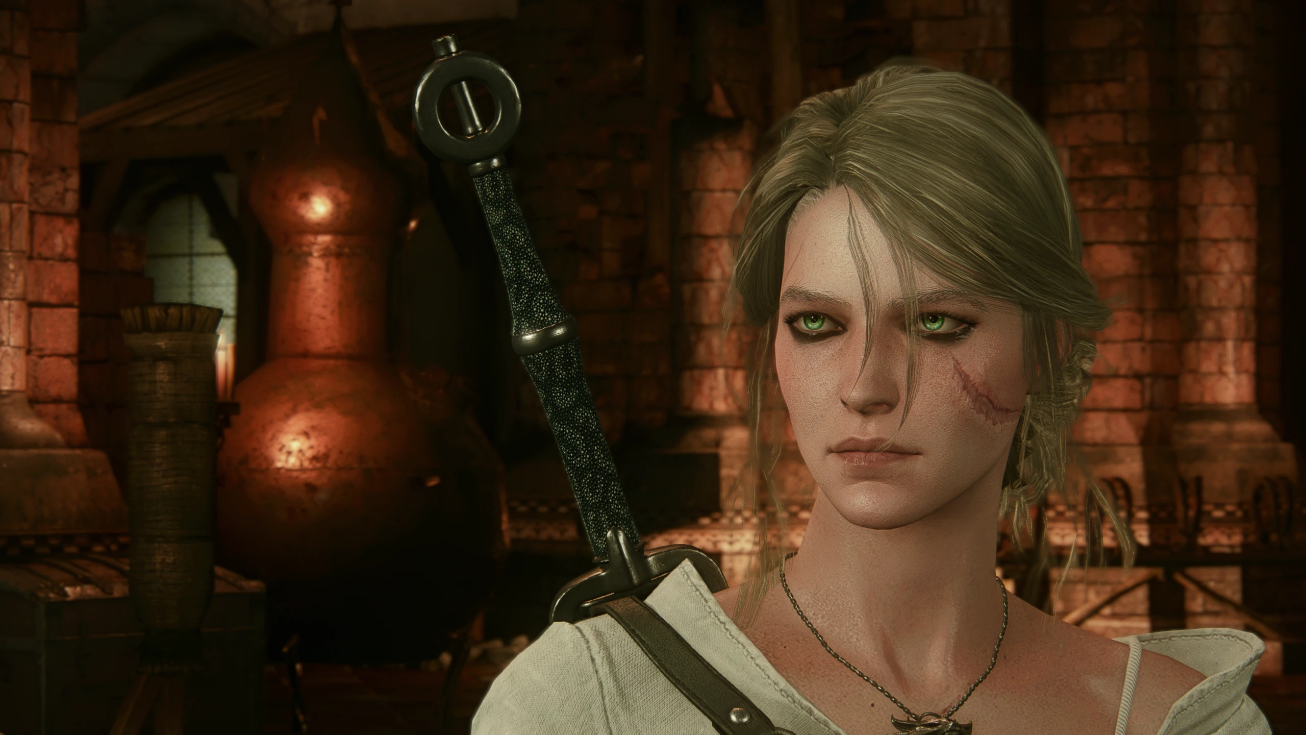 True Lore Ashy Blonde Ciri at The Witcher 3 Nexus - Mods and community