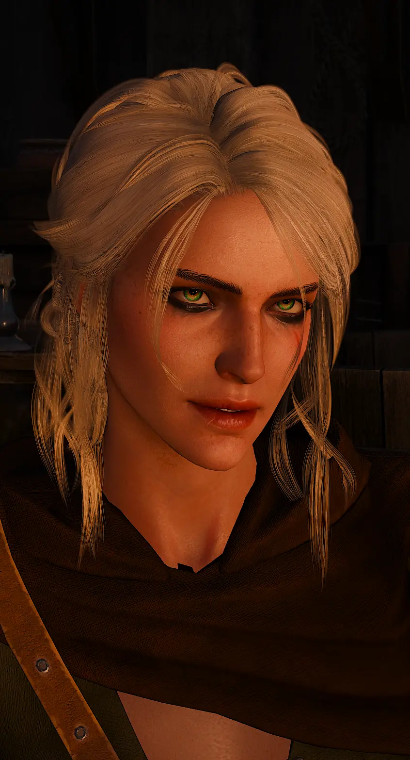 Ciri at The Witcher 3 Nexus - Mods and community