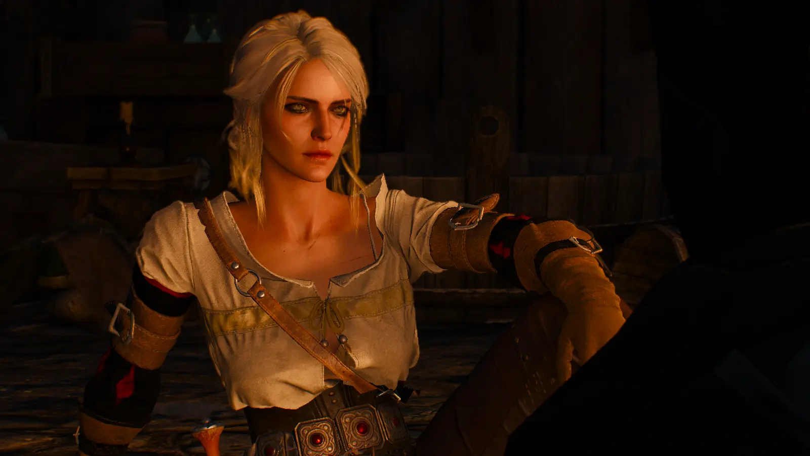 Ciri at The Witcher 3 Nexus - Mods and community