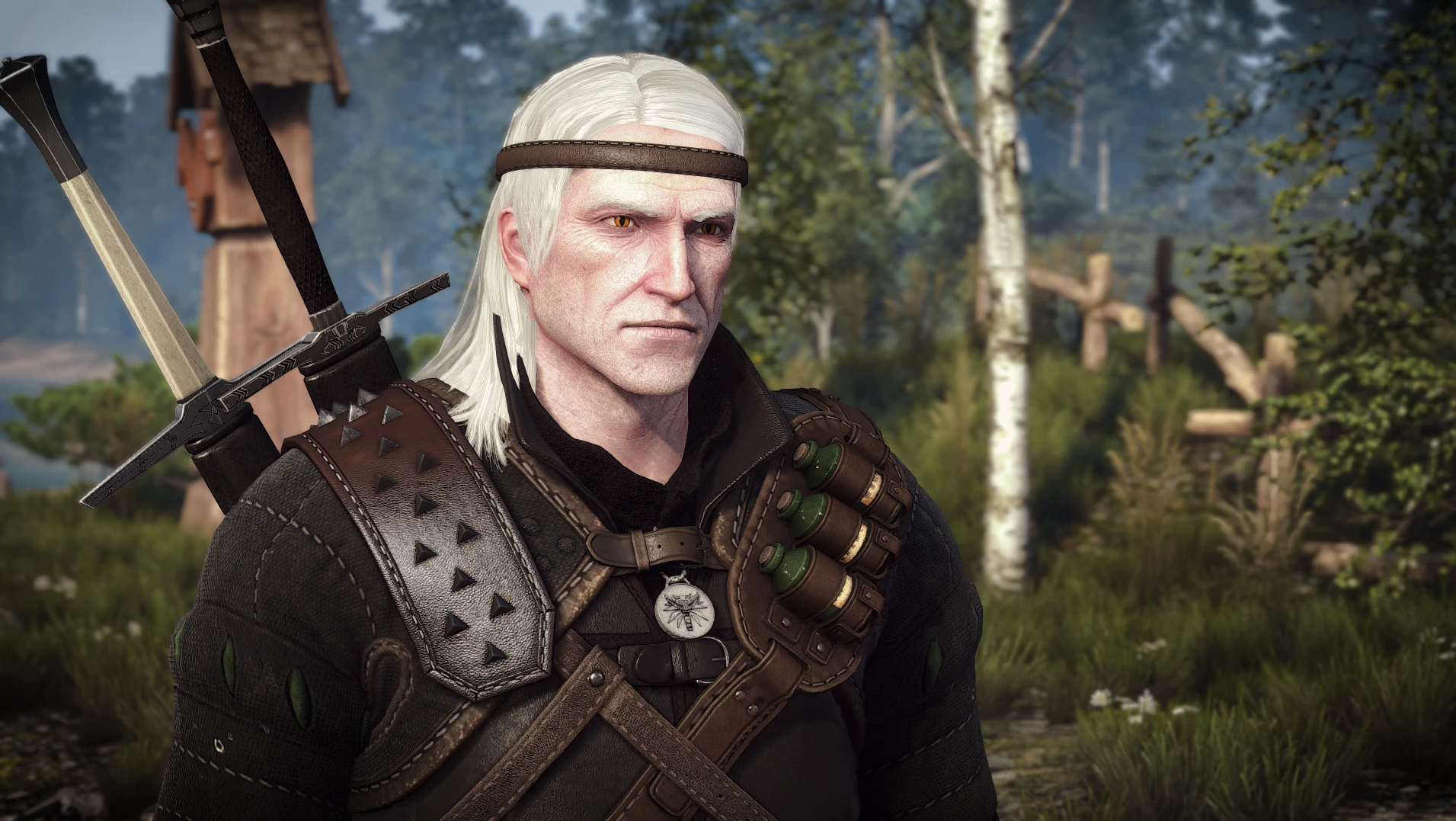 Book-Friendly Geralt at The Witcher 3 Nexus - Mods and community
