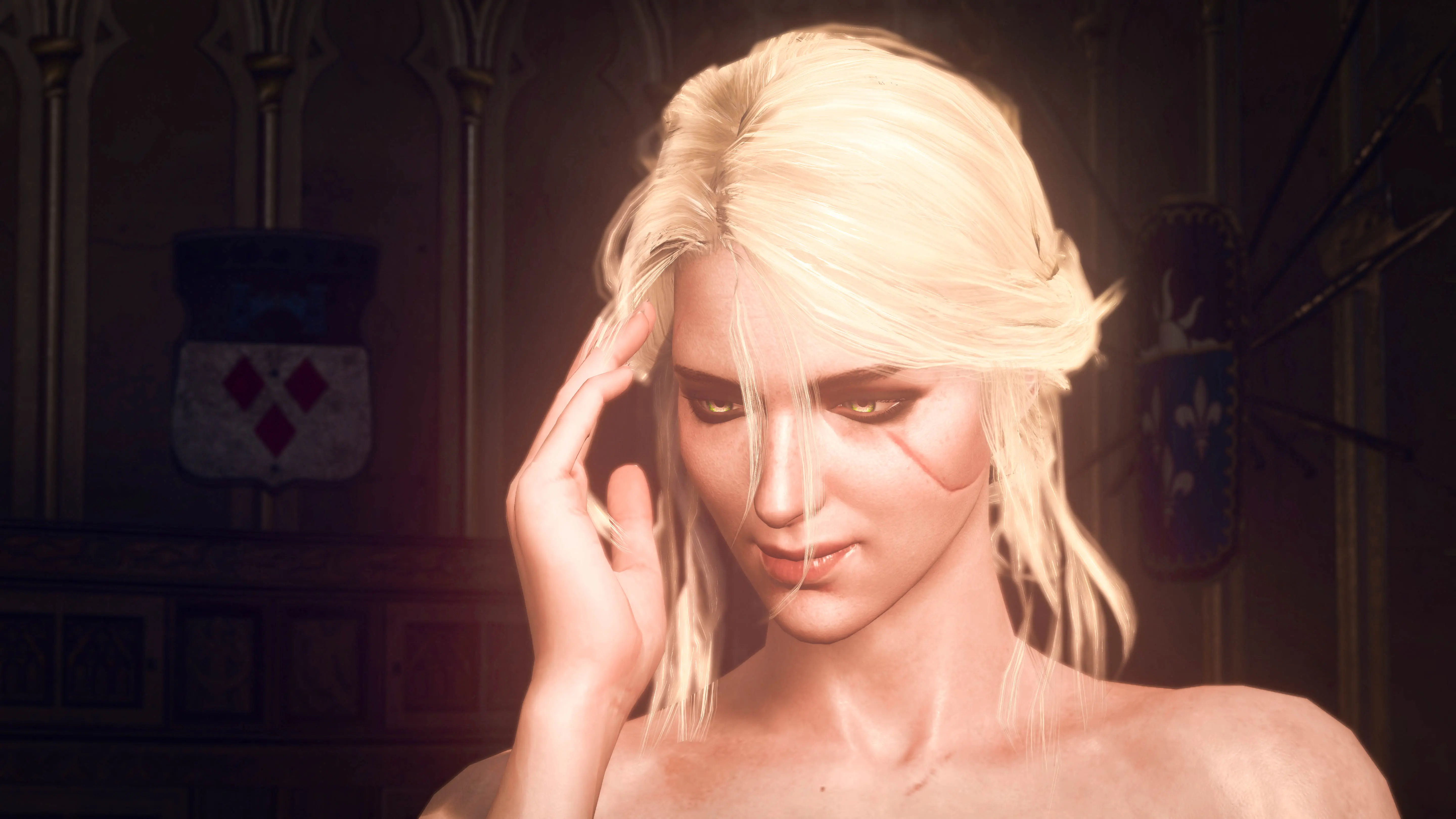 Ciri at The Witcher 3 Nexus - Mods and community