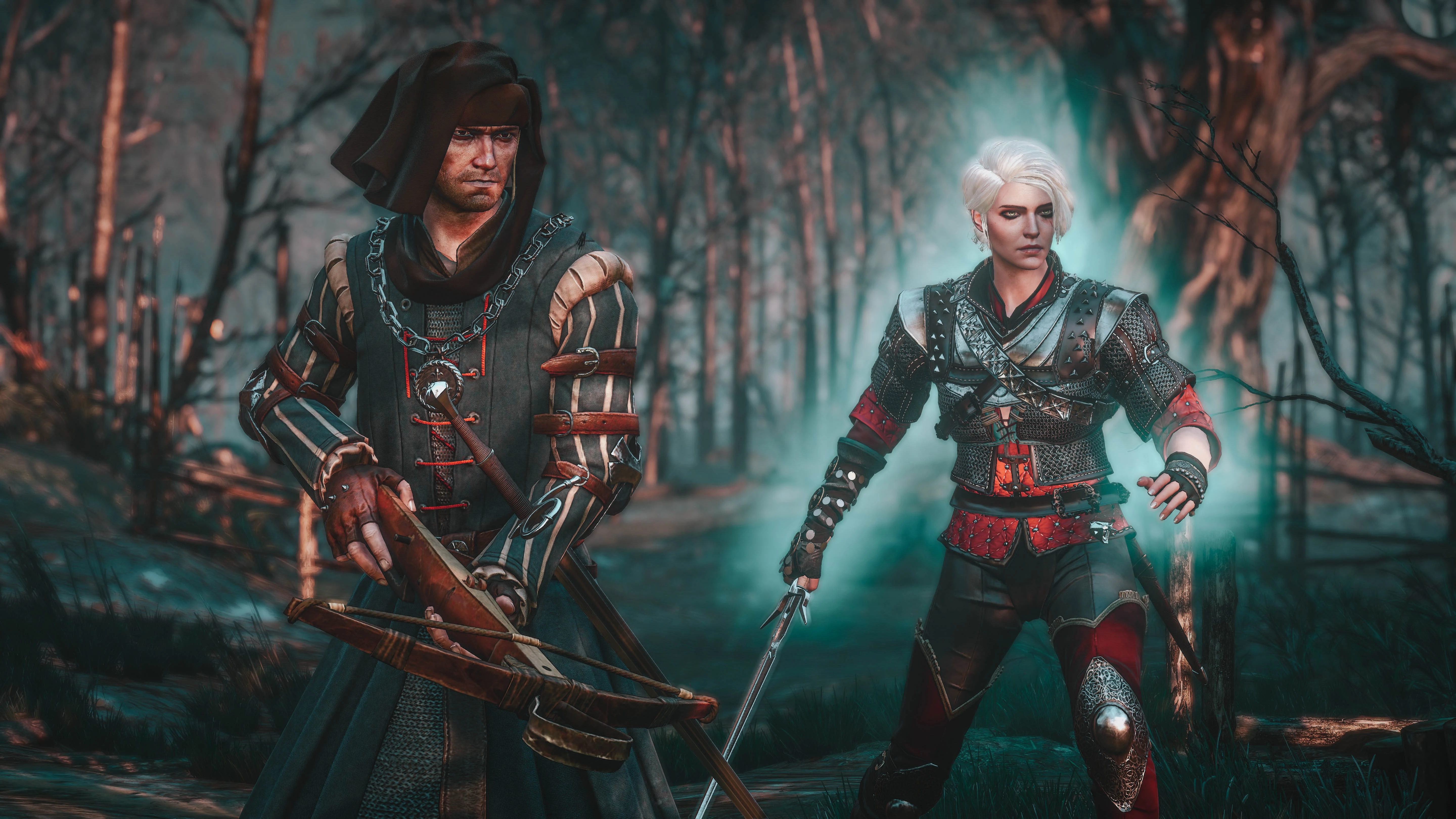 The witcher 3 nexus mods and community фото 26