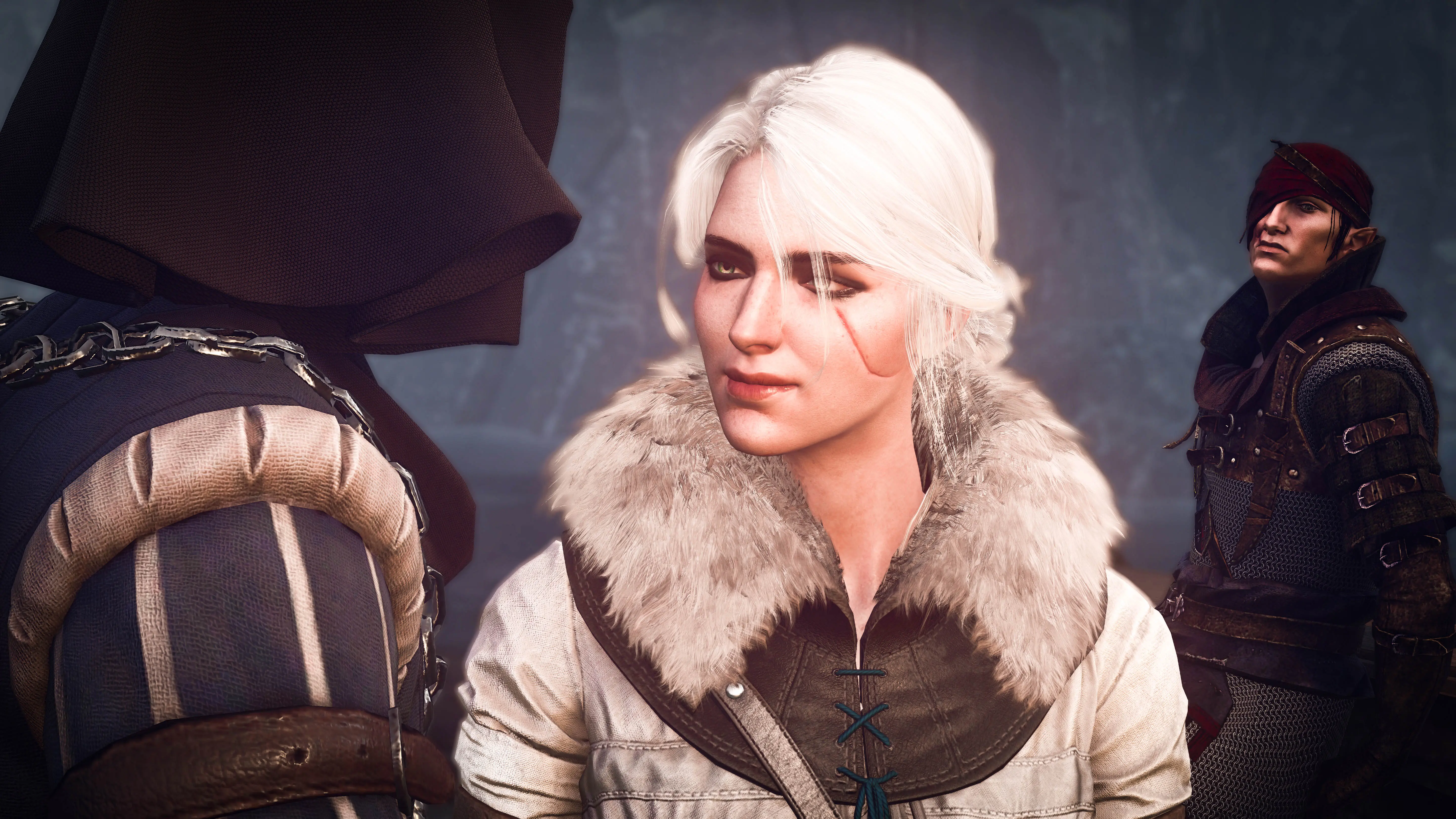 Vernon Roche and Ciri and Iorveth at The Witcher 3 Nexus - Mods and ...