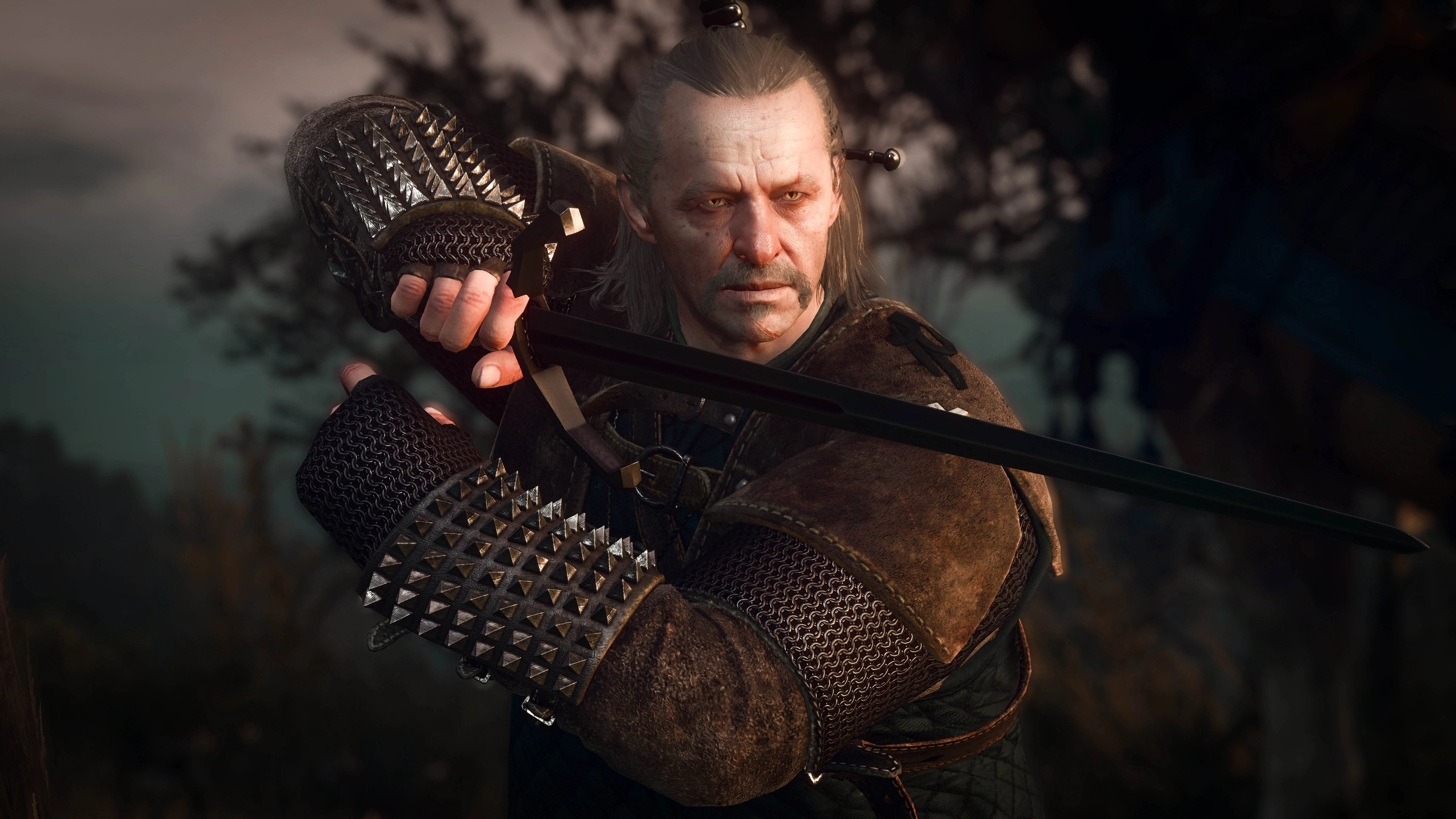 Vesemir at The Witcher 3 Nexus - Mods and community