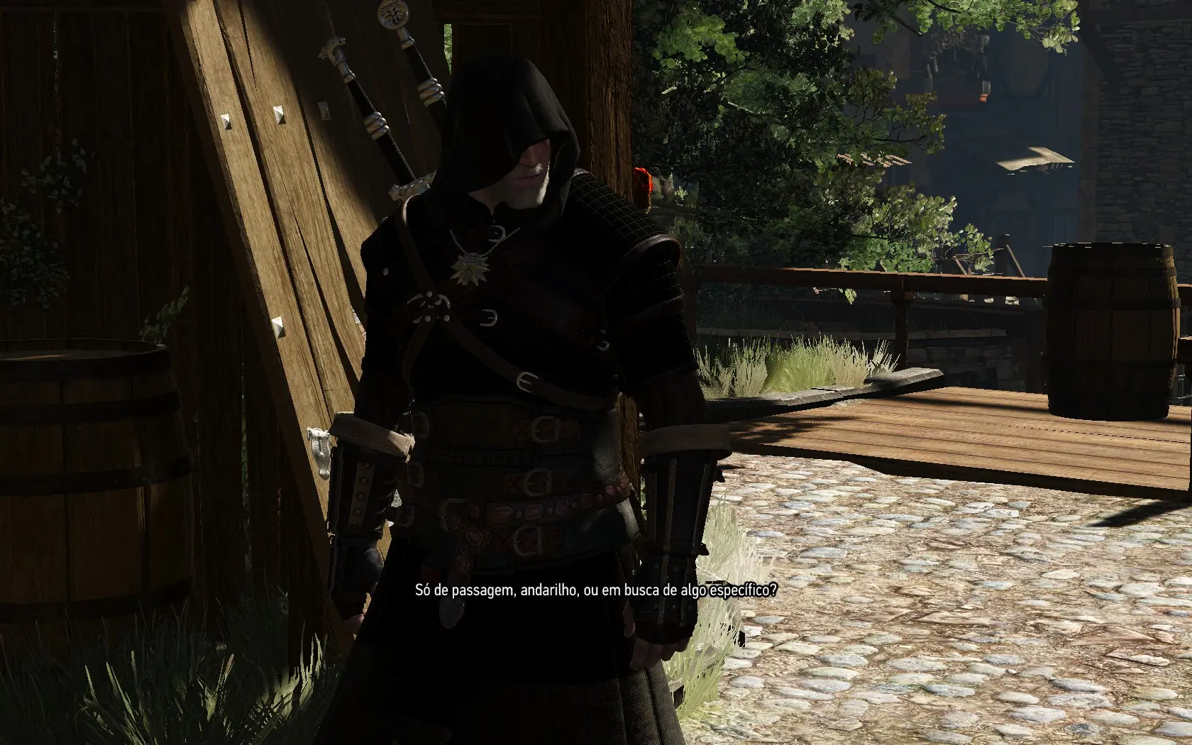 The witcher 3 geralt cloak mods фото 64