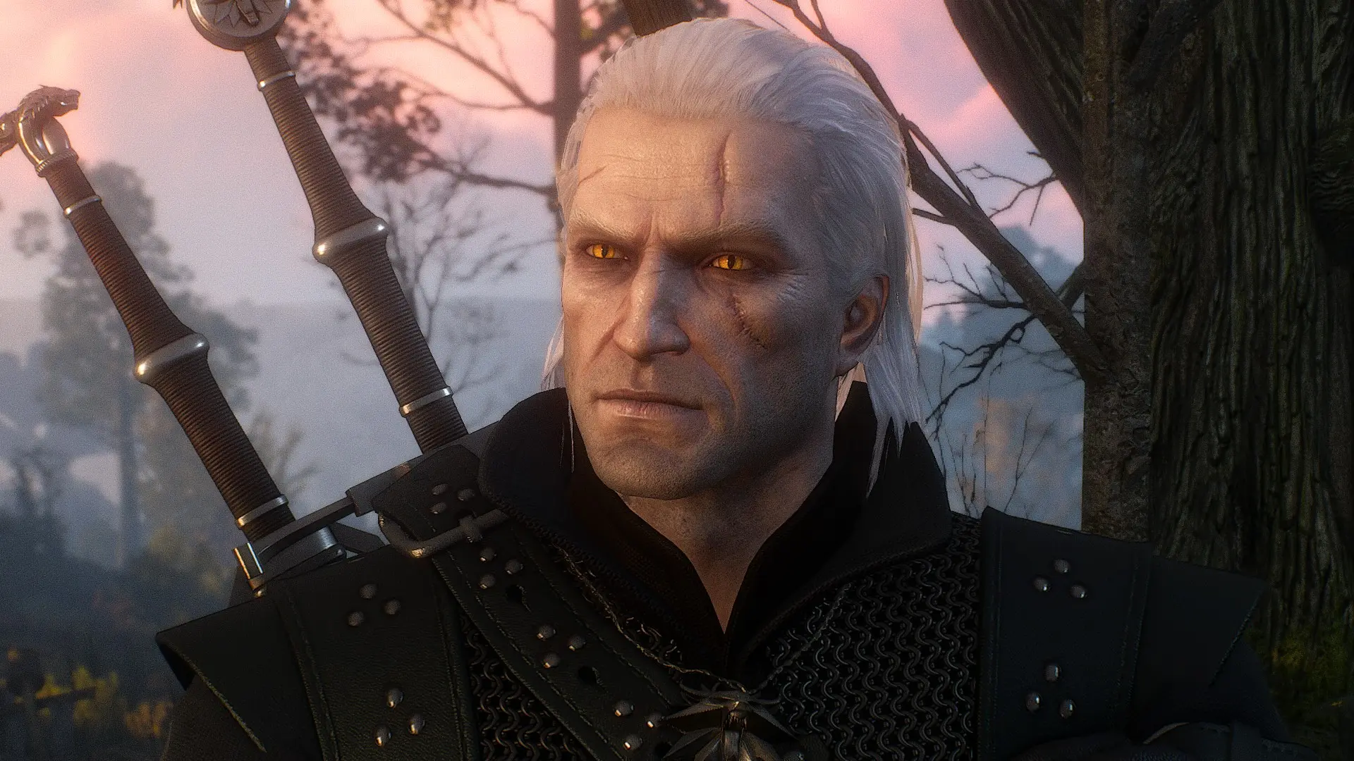 Nexus mod the witcher 3 фото 15