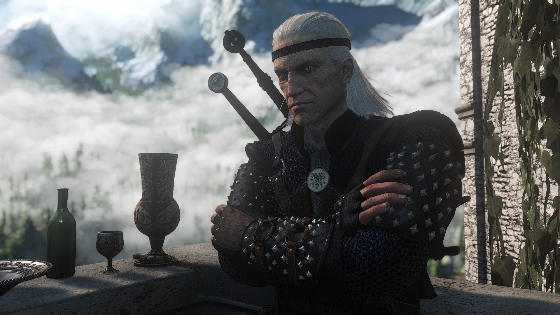 Most Book Friendly Geralt by now at The Witcher 3 Nexus ...