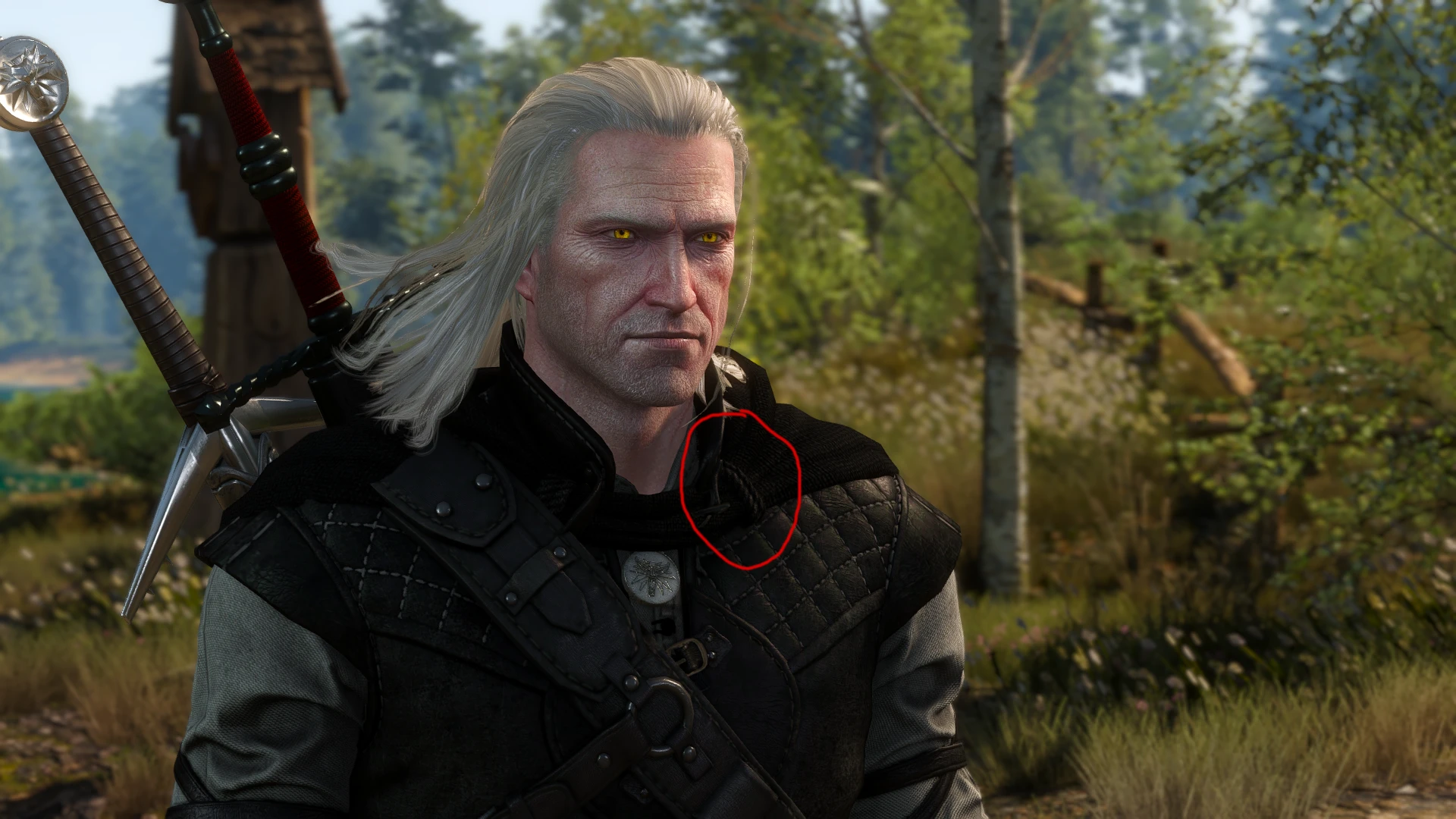 The best quests in the witcher 3 фото 94