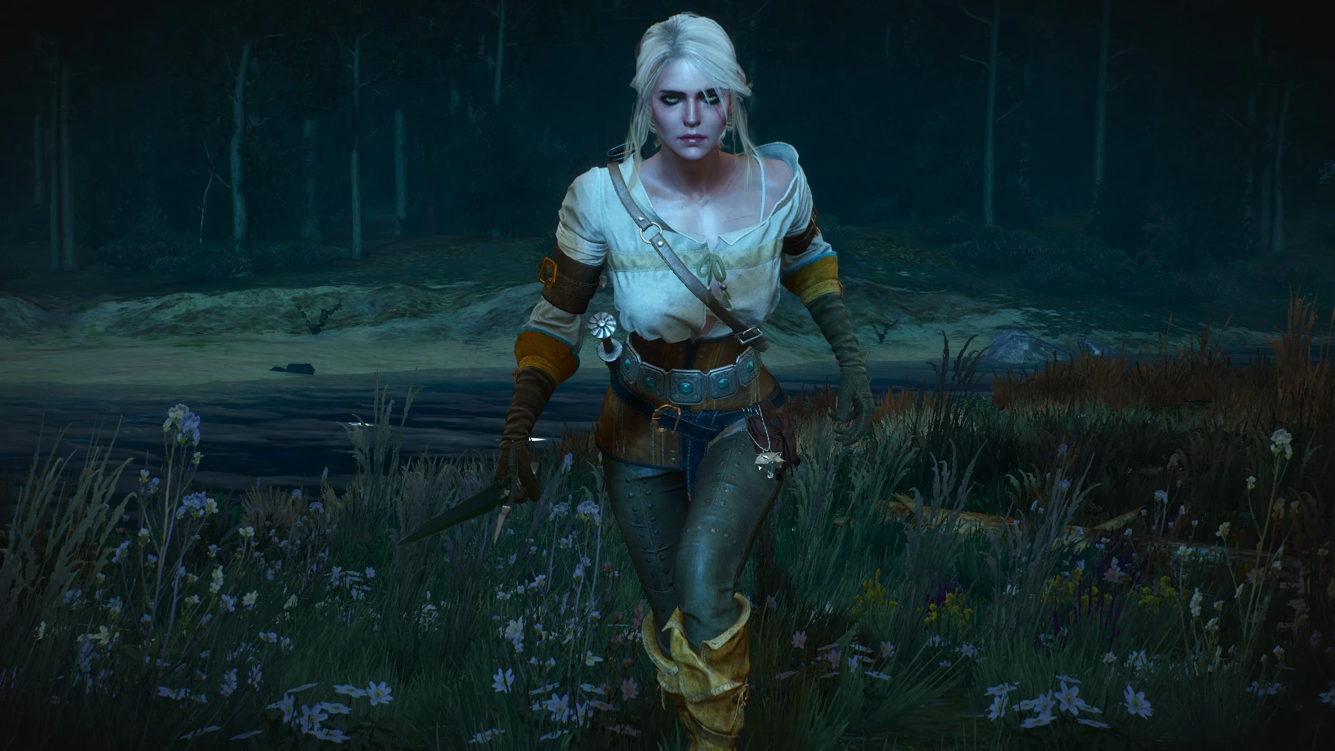 The witcher 3 ciri welcome фото 19