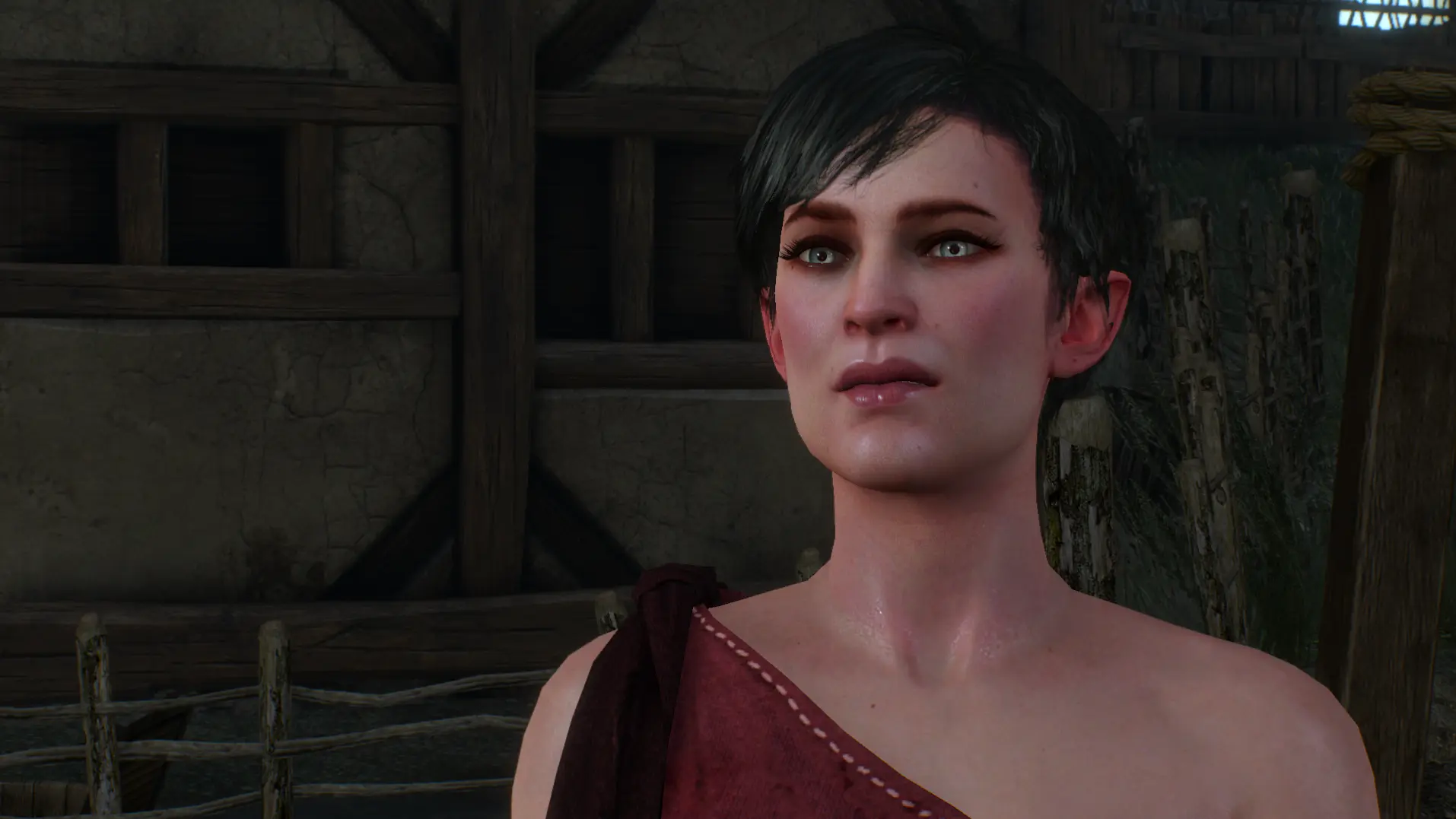 She Elf At The Witcher 3 Nexus Mods And Community