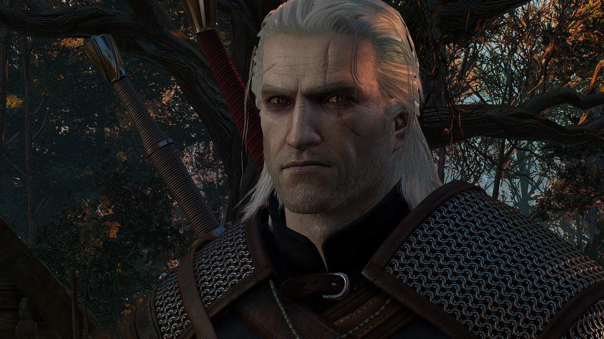 Velen at The Witcher 3 Nexus - Mods and community