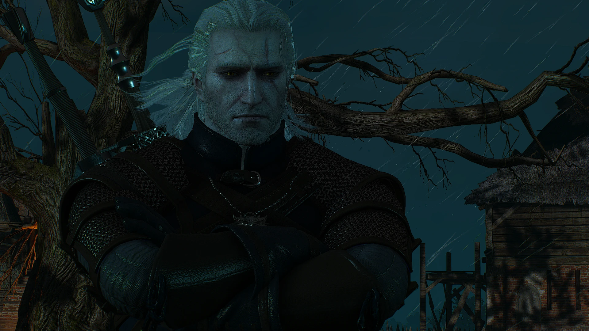 The witcher 3 witcher quests фото 68
