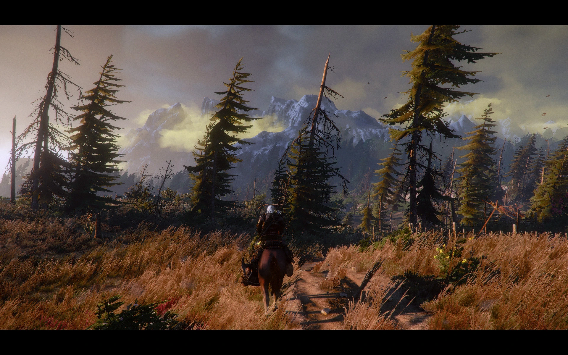The witcher 3 ард скеллиге фото 50