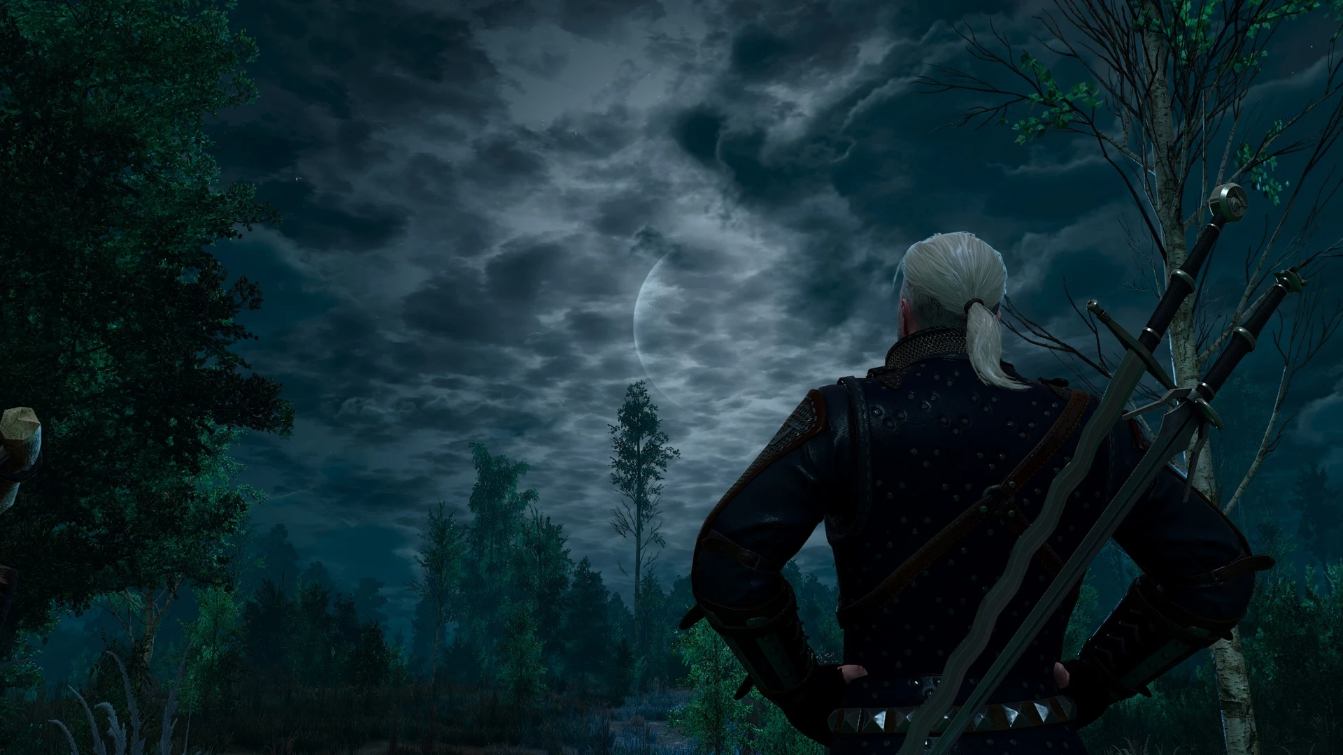 Moon at The Witcher 3 Nexus - Mods and community