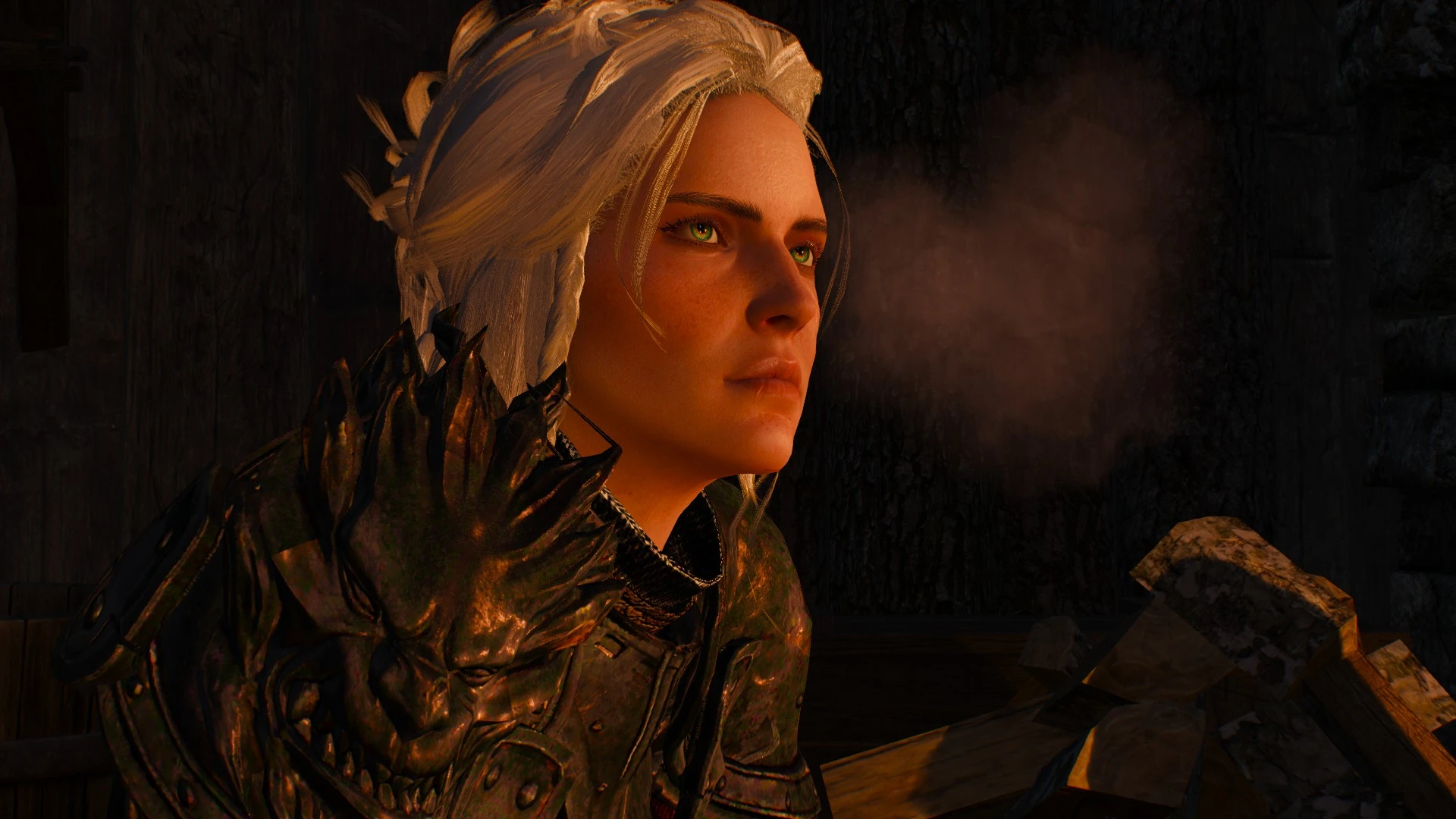 Ciri at The Witcher 3 Nexus - Mods and community