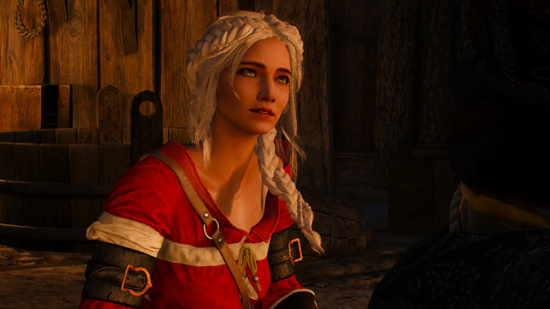 Ciri at The Witcher 3 Nexus - Mods and community