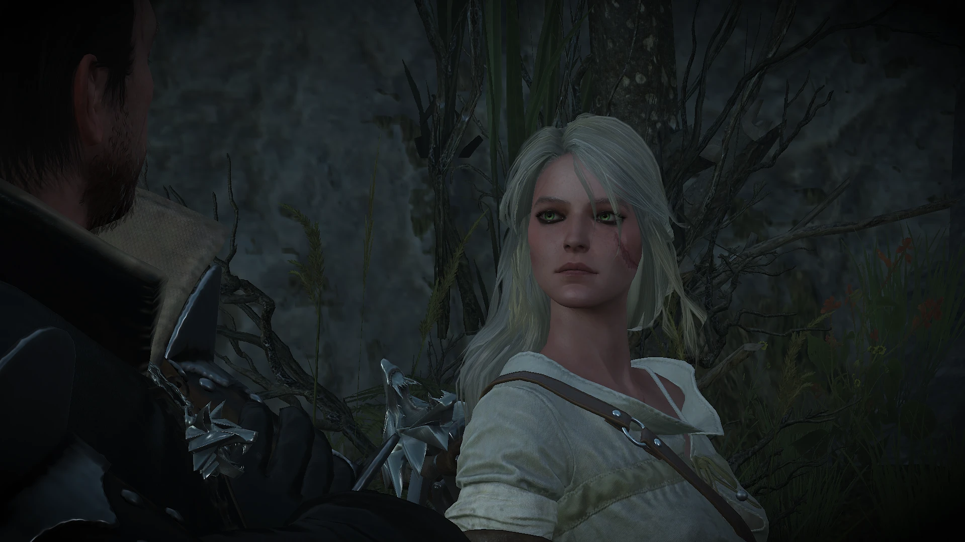 Ciri at The Witcher 3 Nexus - Mods and community