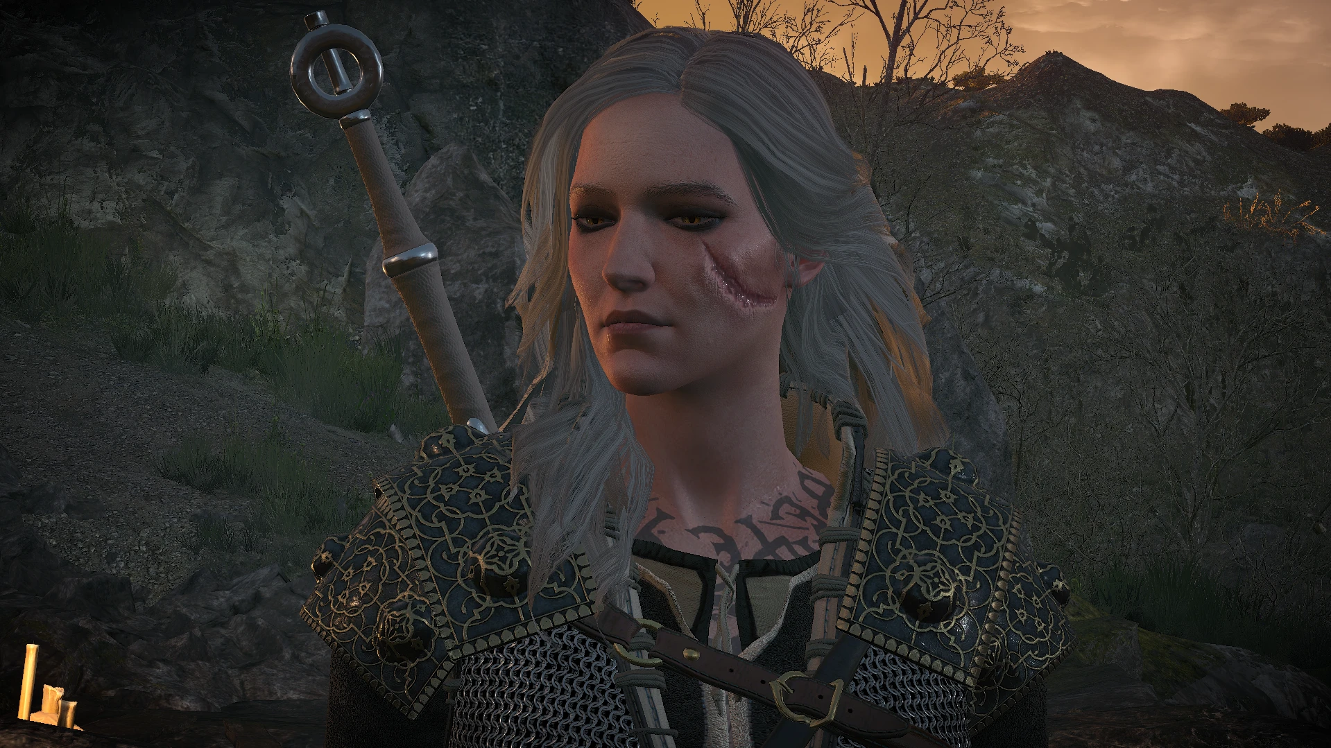 Ciri at The Witcher 3 Nexus - Mods and community