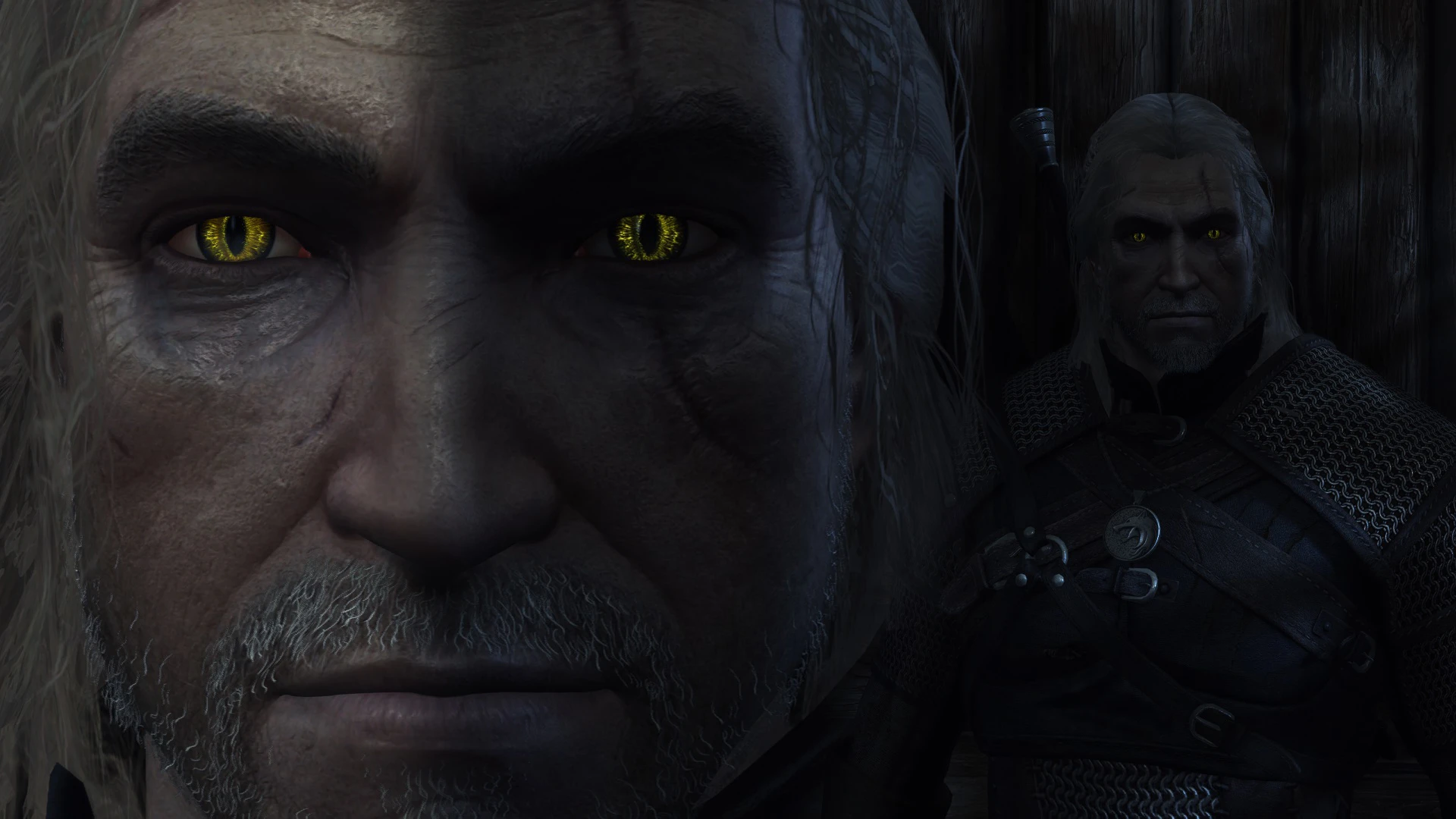 4k Beast Iris and Glowing Witcher Eyes at The Witcher 3 Nexus - Mods ...