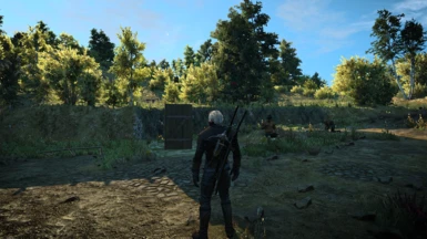 Witcher 3 missing something