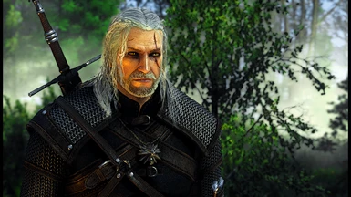 cool witcher