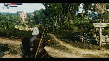 The Witcher 3 Cinematic Remake light