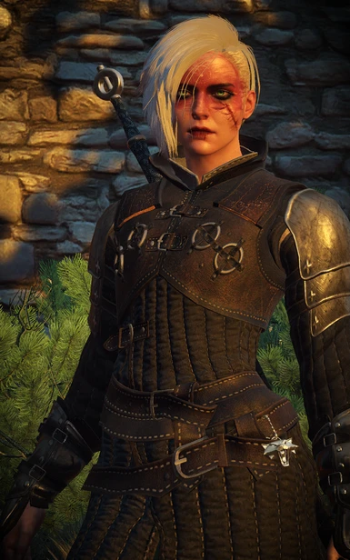 how to install character mods for witcher 1