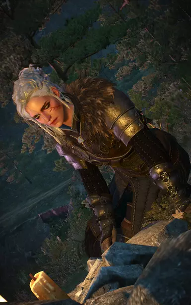 the witcher 2 mods the witcher 2 mods