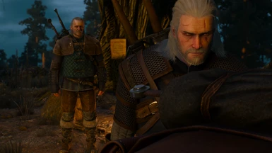 Better facial balance for Geralt