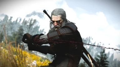 The Witcher 3 pics