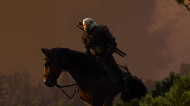 The Witcher 3 picture