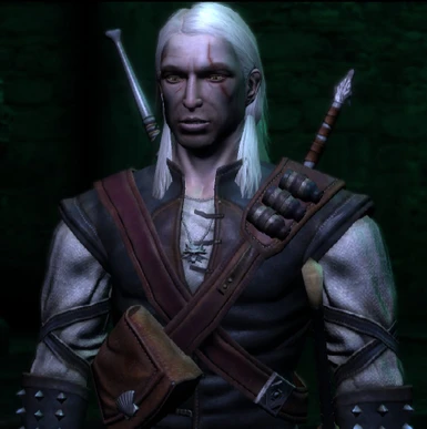 REQUEST - WITCHER 1 LOOSE HAIRSTYLE