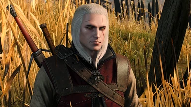 Pretty Geralt