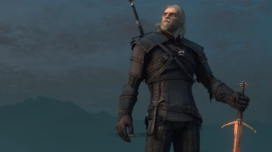 Geralt Poses