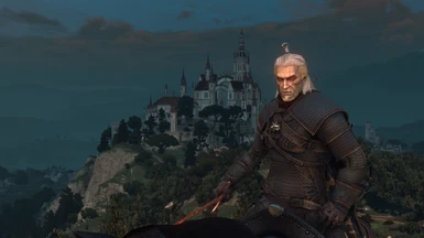 Geralt on Roach