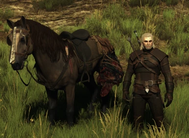 Witcher and his mare