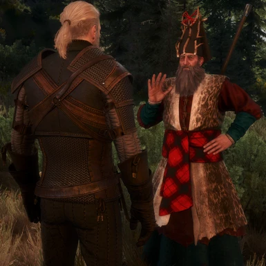 The Witcher 3 Wild Hunt Screenshot Number 78
