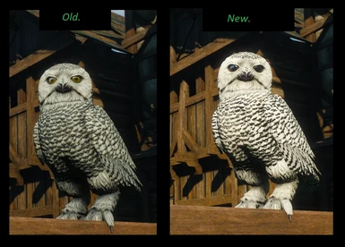Owl changes