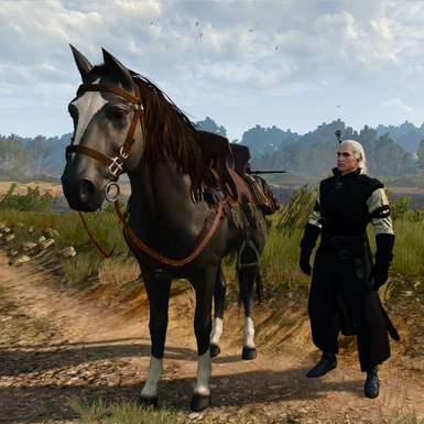 Geralt and the Girlfriend
