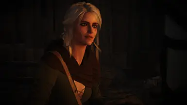 Zireael at The Witcher 3 Nexus - Mods and community