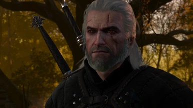 E3 Geralt's Hair