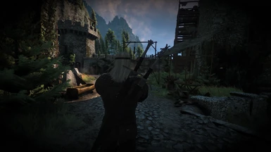Geralt Reminiscing about training Ciri