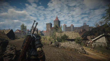Geralt entering Novigrad