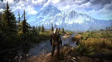 THE NEW WATER LOOK at The Witcher 3 Nexus - Mods and community