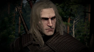 GERALT INSPIRED FROM THE BOOK